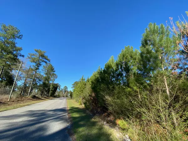 Baker, FL 32531,16.9 AC Creston Barrow Road