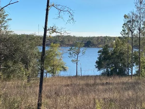 Chipley, FL 32428,Lot 7 & 8 Rolling Pines Road