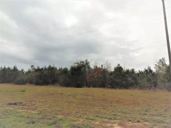 Laurel Hill, FL 32567,39 acres W Co Hwy 147. Walk