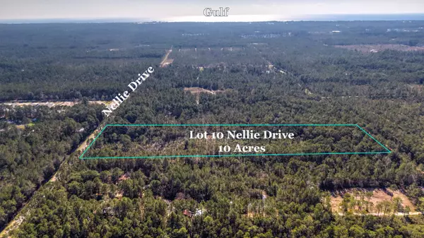 Santa Rosa Beach, FL 32459,Lot 10 Nellie Drive