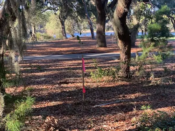 Panama City Beach, FL 32413,1501 Sharks Tooth Trail