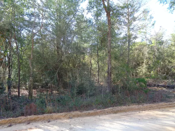 Defuniak Springs, FL 32433,11 Carol Lane