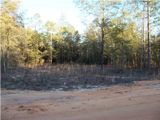 Defuniak Springs, FL 32433,LOT 14 Rubens Lane