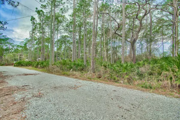 Santa Rosa Beach, FL 32459,Lot 4 Montigo Ave N