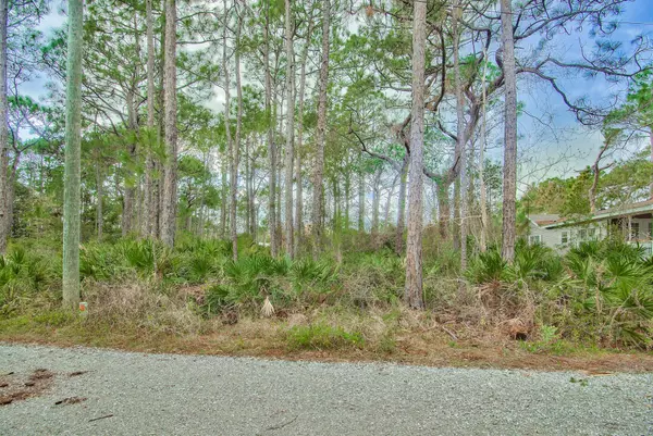 Santa Rosa Beach, FL 32459,Lot 4 Montigo Ave N