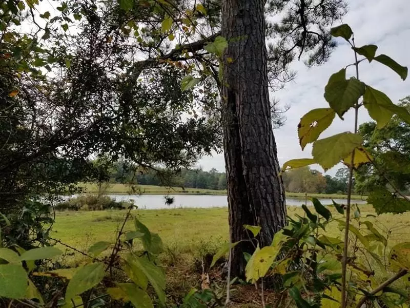 1133 Hub Presley Road, Laurel Hill, FL 32567