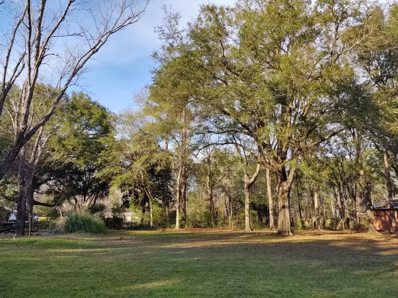 Lot 2 Tubbs Lane, Freeport, FL 32439