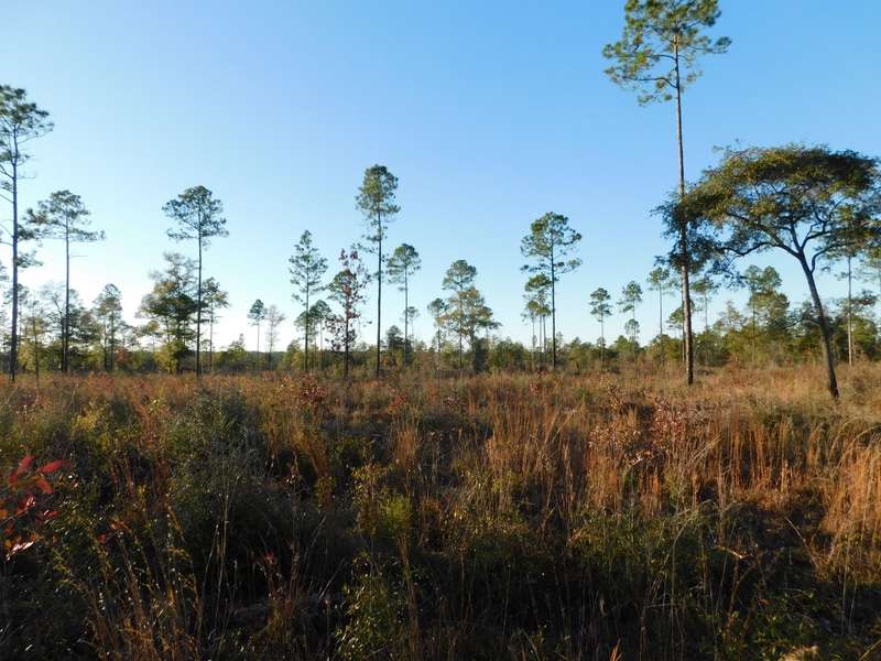 25 AC-C Hwy 4, Baker, FL 32531