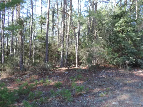 Freeport, FL 32439,Lot 3 Happy Hollow Road