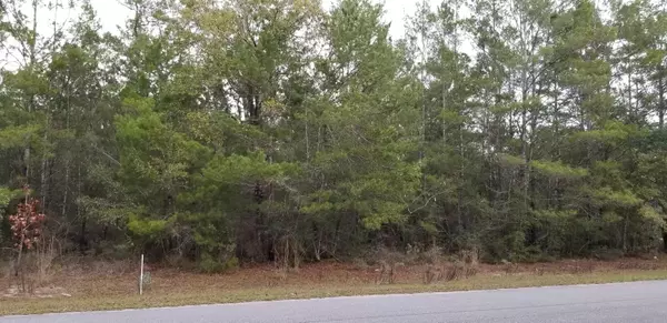 Freeport, FL 32439,Lot 9 BlkC Hickory Loop Drive