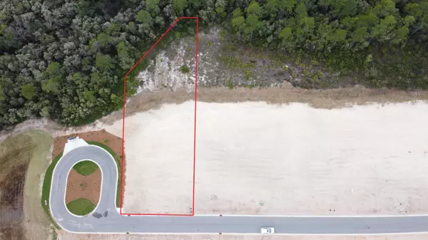 Lot 14 Needle Cast Lane, Watersound, FL 32461