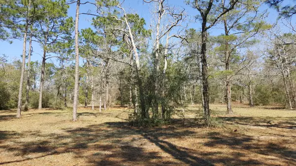 Defuniak Springs, FL 32433,Lot 25 Spring Lake Road Road