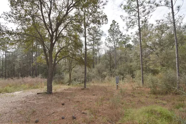 Crestview, FL 32539,Lot 158 Park Place