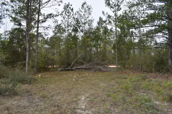 Alford, FL 32420,000 Adams Drive