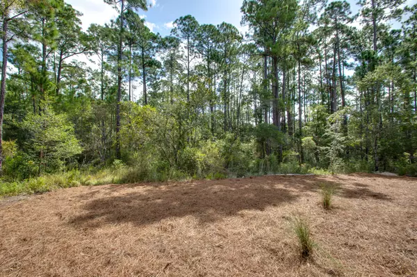 Santa Rosa Beach, FL 32459,38 S Eden S Landing Circle