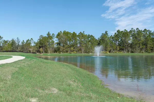 Santa Rosa Beach, FL 32459,148 Stonegate Circle  #Lot 20