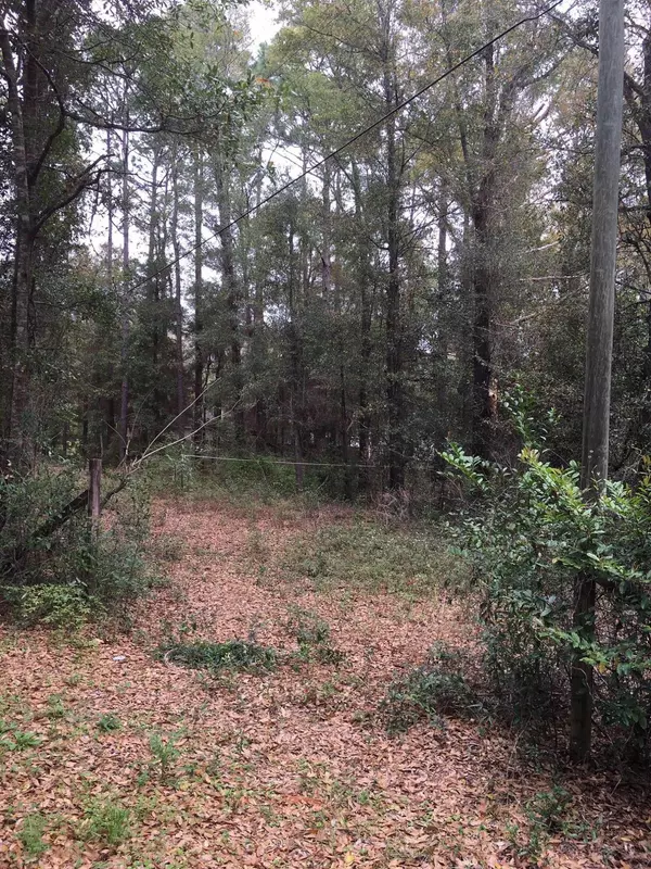 Holt, FL 32564,Lot 8 Liberty Boulevard