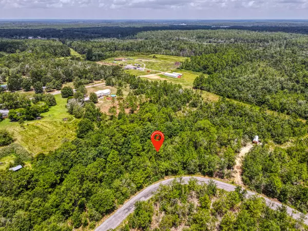 Defuniak Springs, FL 32433,000 W Michaelangelo Road