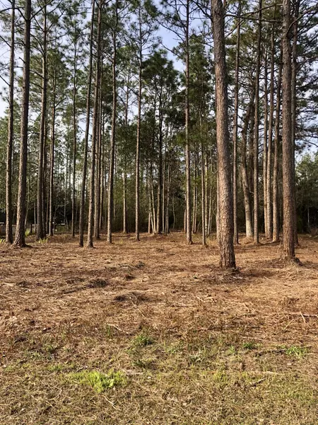 000 Pine Street, Freeport, FL 32439