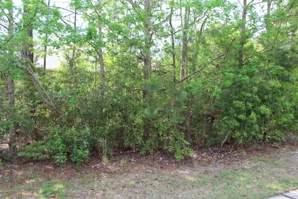 Freeport, FL 32439,Lot 10-B Marsh Landing