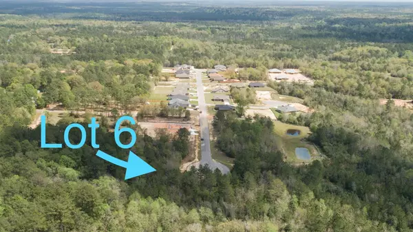 Crestview, FL 32539,LOT 6 Marigold Loop