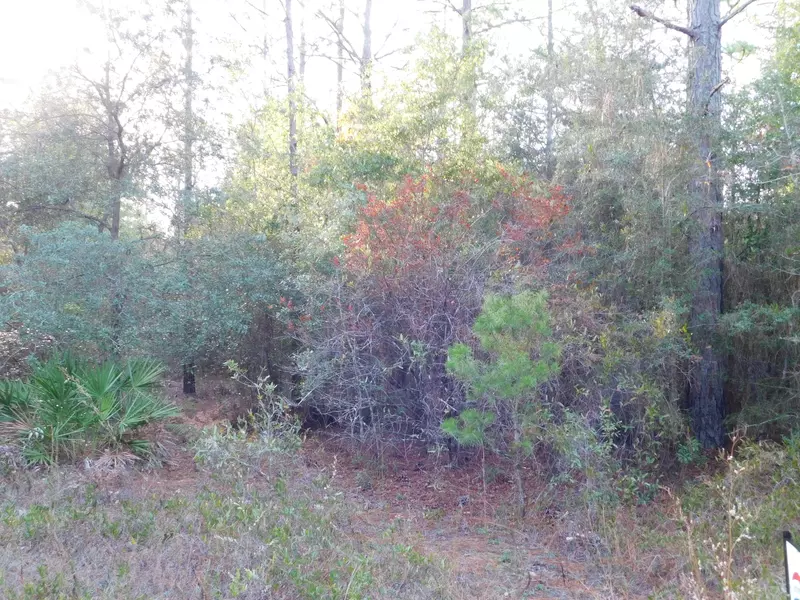 2.41 AC-D Mt. Olive Road, Crestview, FL 32536