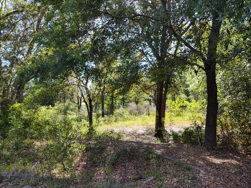 Lot 5 Justin Court, Freeport, FL 32439