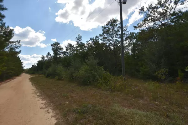 Crestview, FL 32539,10 Lots Third Avenue