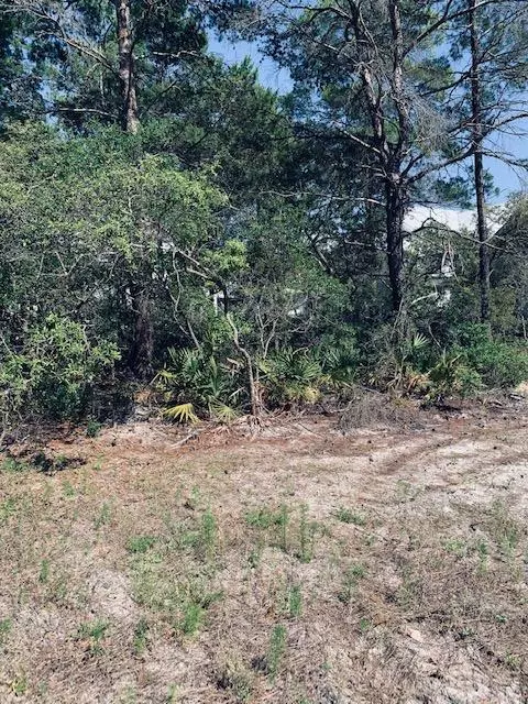 Santa Rosa Beach, FL 32459,Lot 9 Grayton Blvd.