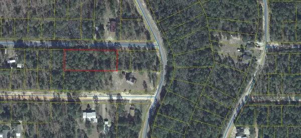 Defuniak Springs, FL 32433,Lot 16 Tiger Lily East Lane