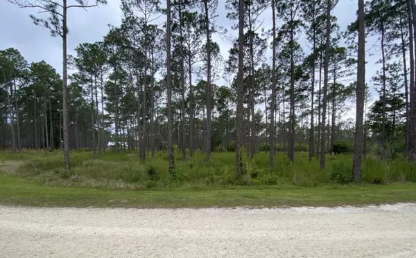 Panama City Beach, FL 32413,8503 Grass Lake Lane  #Lot 33