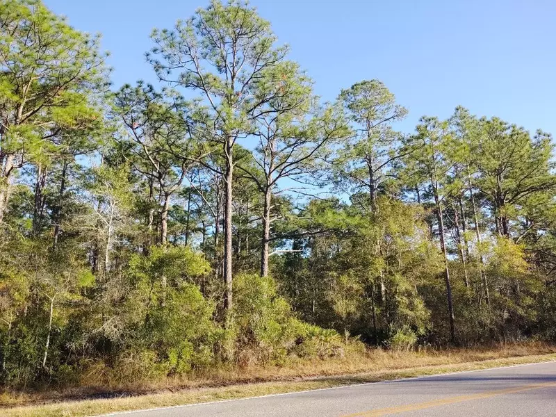 Lot 4 County Highway 83-A, Freeport, FL 32439