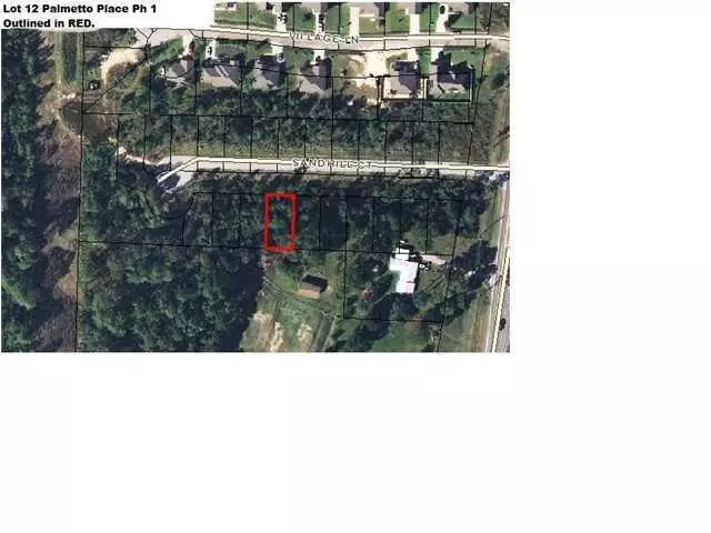 Freeport, FL 32439,LOT 12 Sandhill Court