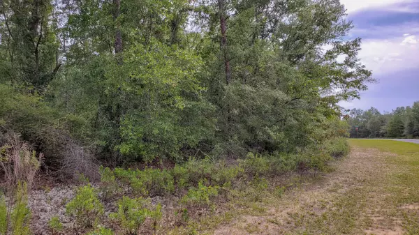 Chipley, FL 32428,Lot 26 Shenandoah Blvd.