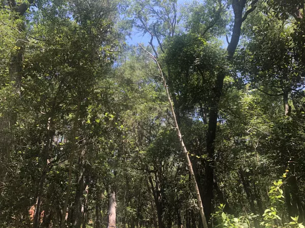 Niceville, FL 32578,Lot 9 Edgewater Drive