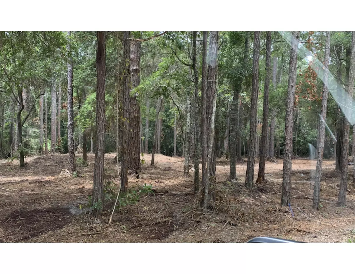 Santa Rosa Beach, FL 32459,Lot 17a Osprey Lane