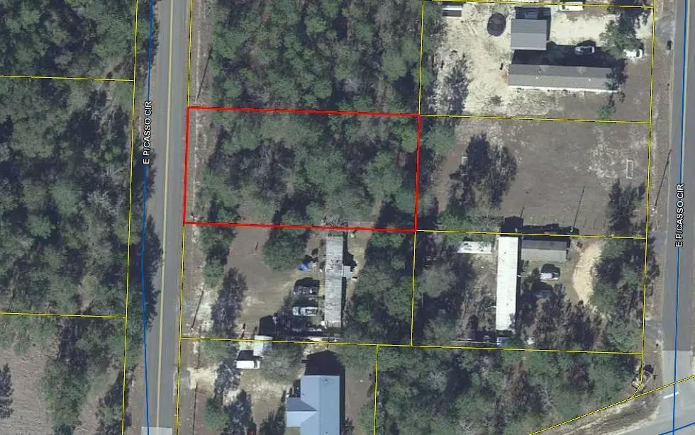 Defuniak Springs, FL 32433,Lot 8 E Picasso Circle