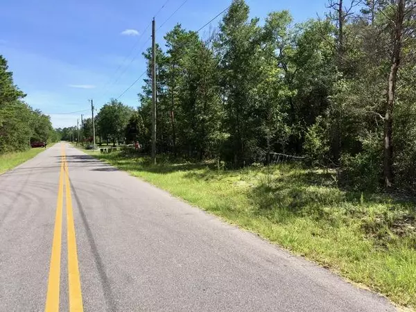 Defuniak Springs, FL 32433,Lot 8 E Picasso Circle