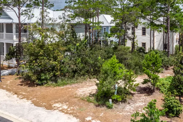 Santa Rosa Beach, FL 32459,Lot 66 Ibis Drive