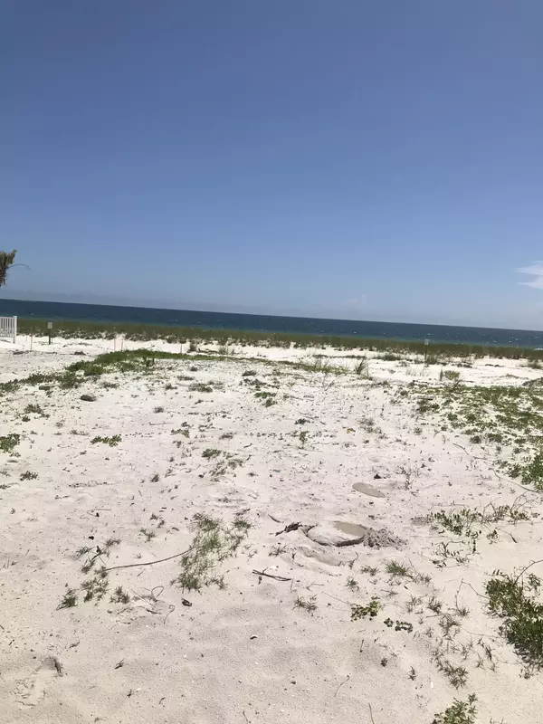 Mexico Beach, FL 32456,2115 Highway 98