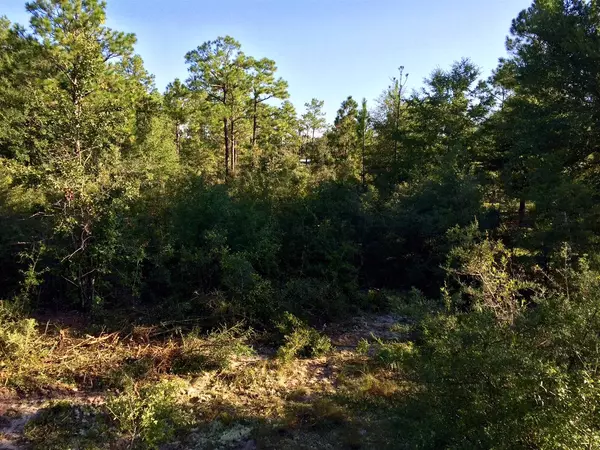 Defuniak Springs, FL 32433,Lot 32 Caswell Road