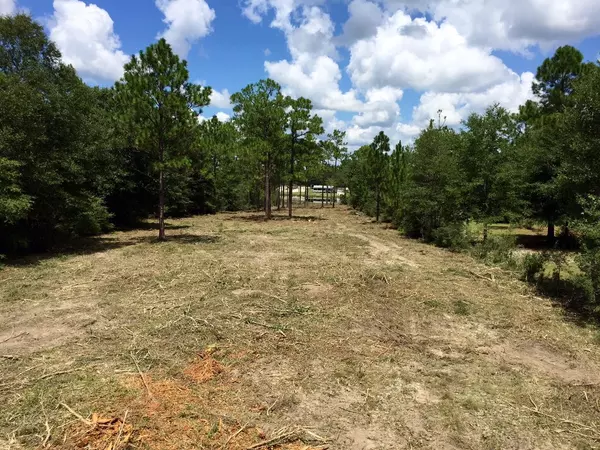 Defuniak Springs, FL 32433,Lot 32 Caswell Road