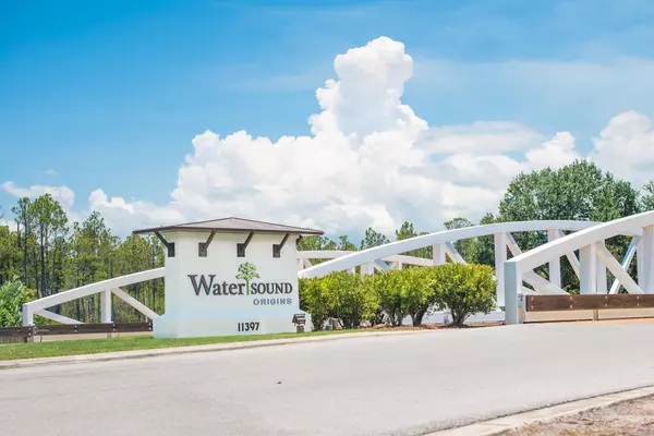 Watersound, FL 32461,164 Conifer Court  #Lot 336