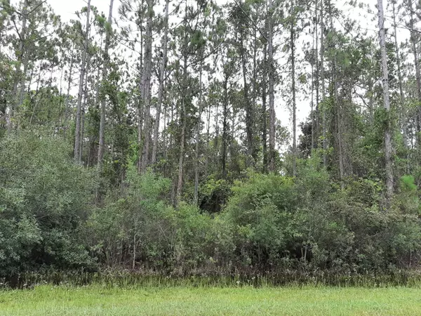 Freeport, FL 32439,TBD Watson Road