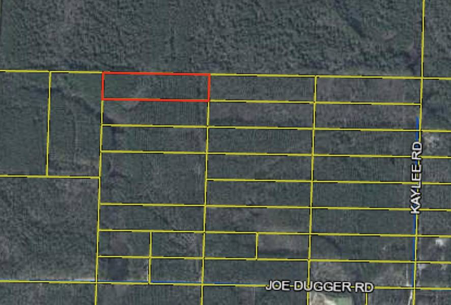 Lot 24 Joe Dugger Road, Freeport, FL 32439