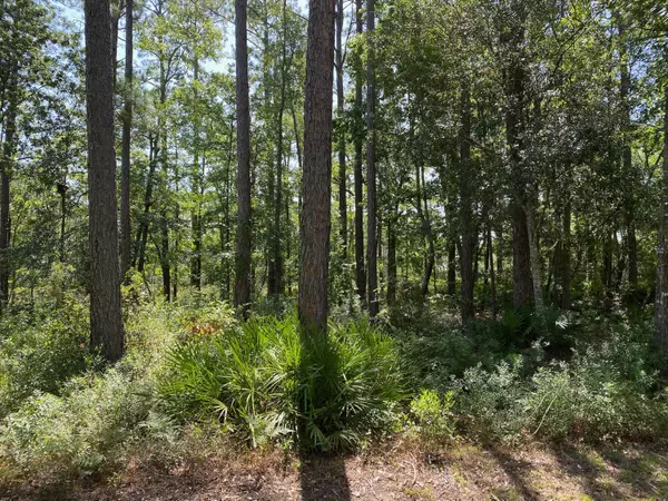 Freeport, FL 32439,Lot 37 Island Grove Drive