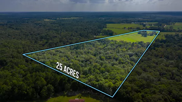 Laurel Hill, FL 32567,25.53 Ac Ludlam Road