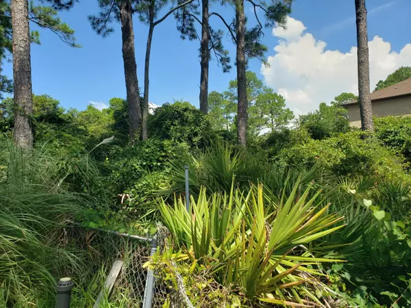 Santa Rosa Beach, FL 32459,lot 41 Paradise Point Lane