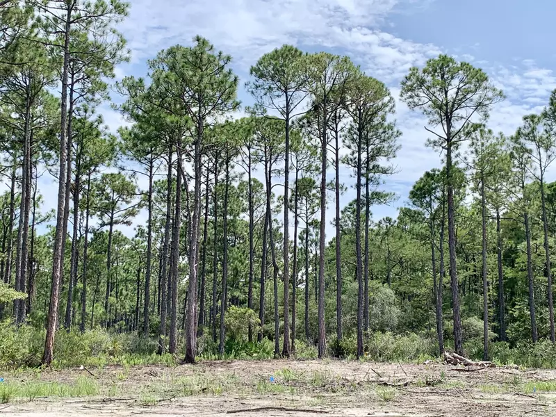 Lot 12 Monk Lane Lane, Santa Rosa Beach, FL 32459