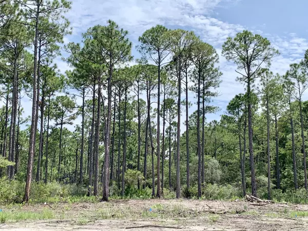 Santa Rosa Beach, FL 32459,Lot 12 Monk Lane Lane